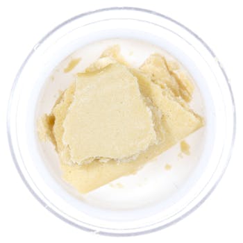 King's Garden | Banana/Pie Hole (Live Budder)
